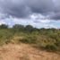  Land for sale in Patino, Formosa, Patino, Formosa