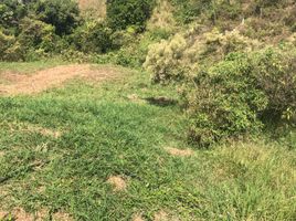  Terreno (Parcela) en venta en Pereira, Risaralda, Pereira