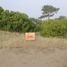  Land for sale in Villa Gesell, Buenos Aires, Villa Gesell