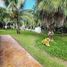3 Schlafzimmer Haus zu verkaufen in Cozumel, Quintana Roo, Cozumel