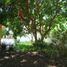 2 Bedroom House for sale in Tancoco, Veracruz, Tancoco