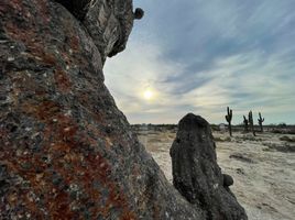  Terrain for sale in La Paz, Baja California Sur, La Paz