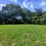  Land for rent in Medellin, Veracruz, Medellin