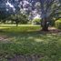  Land for rent in Medellin, Veracruz, Medellin