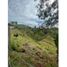  Terreno (Parcela) en venta en Penol, Antioquia, Penol, Antioquia, Colombia