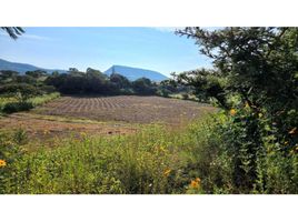  Terreno (Parcela) en venta en México, Ixtapan De La Sal, México