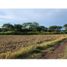  Terreno (Parcela) en venta en México, Ixtapan De La Sal, México