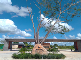  Grundstück zu verkaufen in Yaxkukul, Yucatan, Yaxkukul