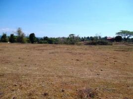  Land for sale in La Union, Ilocos, San Juan, La Union