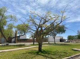  Grundstück zu verkaufen in Torreon, Coahuila, Torreon