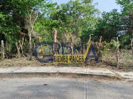  Grundstück zu verkaufen in Tuxpan, Veracruz, Tuxpan, Veracruz