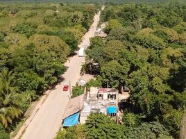  Grundstück zu verkaufen in Lazaro Cardenas, Quintana Roo, Lazaro Cardenas