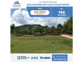 1 chambre Villa for sale in Cocle, Cocle, Penonome, Cocle