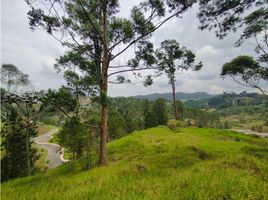  Grundstück zu verkaufen in Rionegro, Antioquia, Rionegro