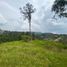  Grundstück zu verkaufen in Rionegro, Antioquia, Rionegro