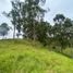  Grundstück zu verkaufen in Rionegro, Antioquia, Rionegro