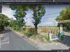  Land for sale in Pasuruan, East Jawa, Lumbang, Pasuruan