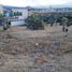 在Durango出售的 土地, Durango, Durango