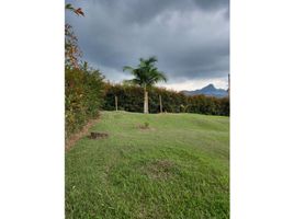  Terreno (Parcela) en venta en Liborina, Antioquia, Liborina