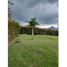  Land for sale in Liborina, Antioquia, Liborina