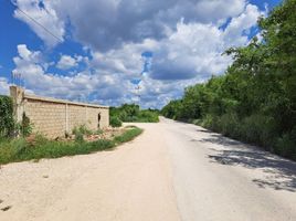  Grundstück zu verkaufen in Acanceh, Yucatan, Acanceh
