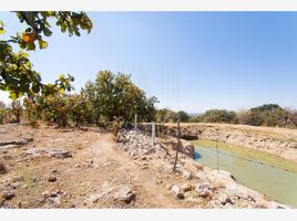  Land for sale in Lagos De Moreno, Jalisco, Lagos De Moreno