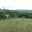  Land for sale in Cebu Central Visayas, Barili