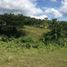  Land for sale in Cebu Central Visayas, Barili