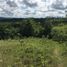  Land for sale in Cebu Central Visayas, Barili
