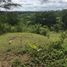  Land for sale in Cebu Central Visayas, Barili