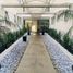 3 Habitación Apartamento en venta en Miguel Hidalgo, Ciudad de México, Miguel Hidalgo