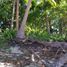  Land for sale in Piddig, Ilocos, Piddig