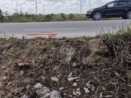  Terreno (Parcela) en venta en Chicxulub Pueblo, Yucatán, Chicxulub Pueblo