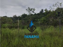  Terreno (Parcela) en venta en Panamá Oeste, San Carlos, San Carlos, Panamá Oeste