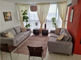 Estudio Apartamento en alquiler en Panamá, Betania, Ciudad de Panamá, Panamá, Panamá