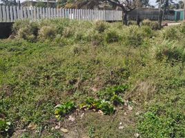  Terreno (Parcela) en alquiler en Coatzacoalcos, Veracruz, Coatzacoalcos