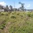  Terreno (Parcela) en alquiler en Coatzacoalcos, Veracruz, Coatzacoalcos