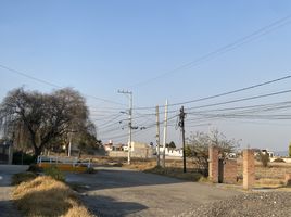  Grundstück zu verkaufen in Toluca, Mexico, Toluca
