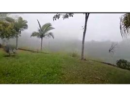  Terreno (Parcela) en venta en Alcala, Valle Del Cauca, Alcala