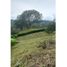  Land for sale in Manizales, Caldas, Manizales