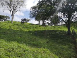  Land for sale in Manizales, Caldas, Manizales