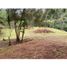  Land for sale in Sabaneta, Antioquia, Sabaneta