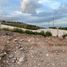 Terrain à vendre à Mexquitic De Carmona, San Luis Potosi, Mexquitic De Carmona