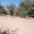  Land for sale in Soledad De Graciano Sanchez, San Luis Potosi, Soledad De Graciano Sanchez