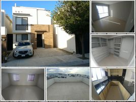 산 니콜라스 드 로스 가자, 누에 보 레온PropertyTypeNameBedroom, 산 니콜라스 드 로스 가자