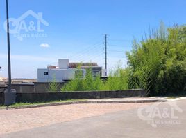 Studio Villa zu verkaufen in Coatepec, Veracruz, Coatepec
