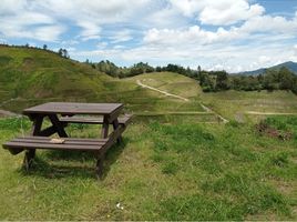  Terreno (Parcela) en venta en La Ceja, Antioquia, La Ceja, Antioquia