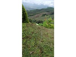  Land for sale in Manizales, Caldas, Manizales