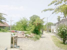  Land for sale in Canggu, Bali, Canggu