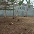  Terreno (Parcela) en venta en Sumurbandung, West Jawa, Sumurbandung